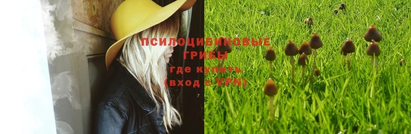 бошки Балахна