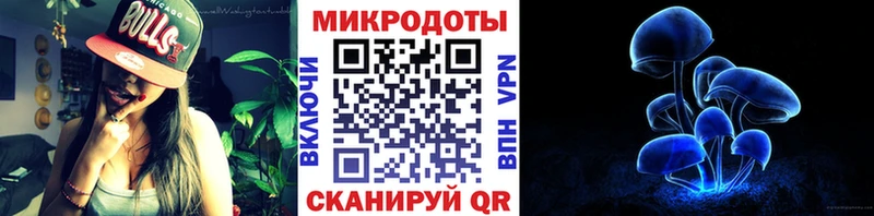Псилоцибиновые грибы Cubensis  Шатура 